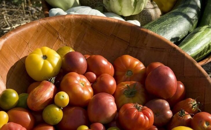 Manger plus végétarien