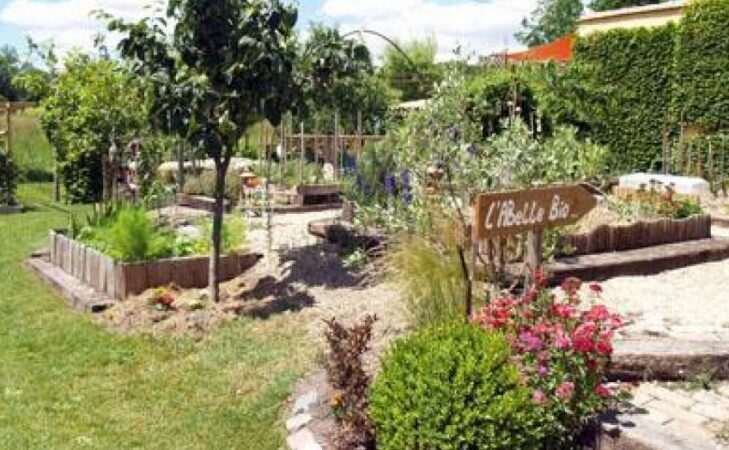Du potager à l’assiette : Labellebio