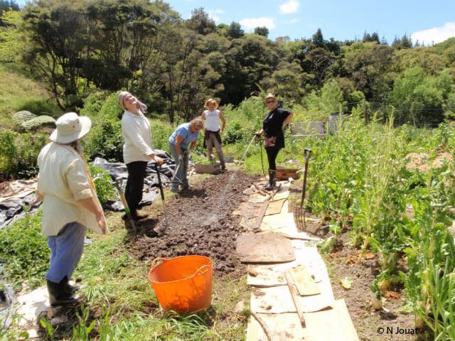 jardinage wwoof en nouvelle zélande