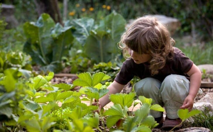 (R)évolutionnons l&rsquo;agriculture