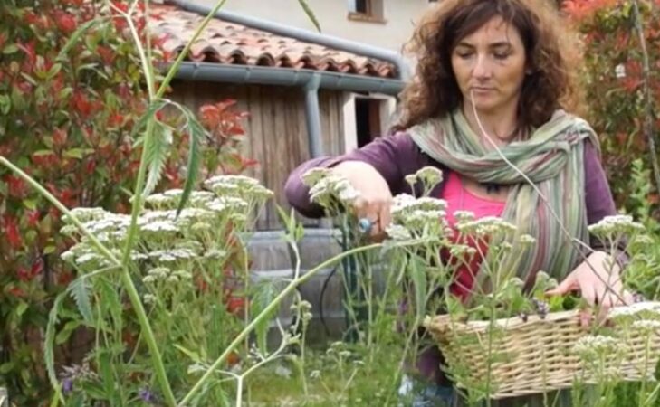 Les ateliers en herbe