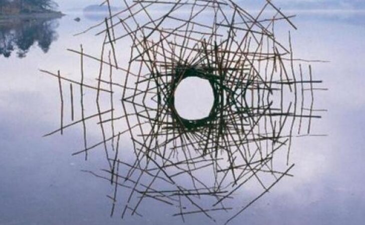 « La Toile de la Vie » de Fridjof Capra