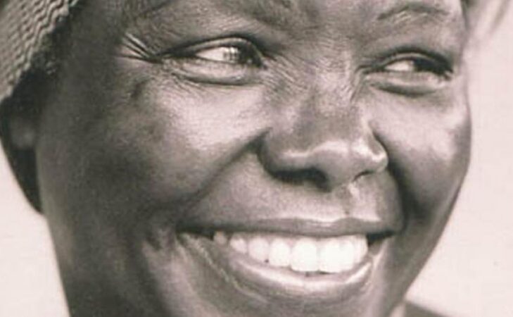 « Celle qui plante les arbres » de Wangari Maathai