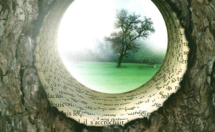 « Le Journal intime d’un Arbre », de Didier Van Cauwelaert