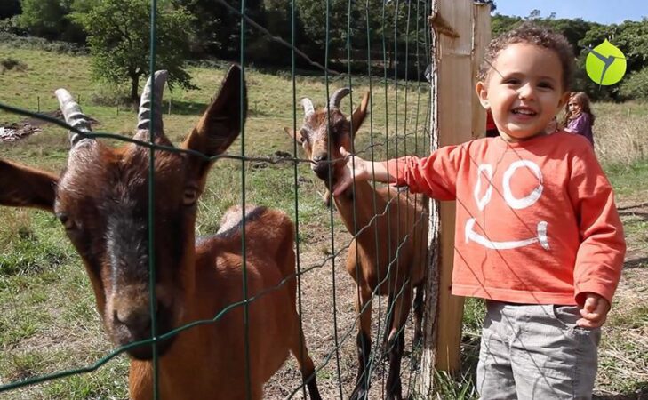 L&rsquo;Îlot des Combes, une oasis au Creusot