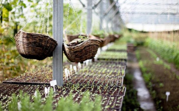 La permaculture : et dans l&rsquo;entreprise ?