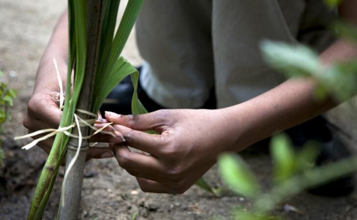 Un parcours découverte sur l’Agroécologie