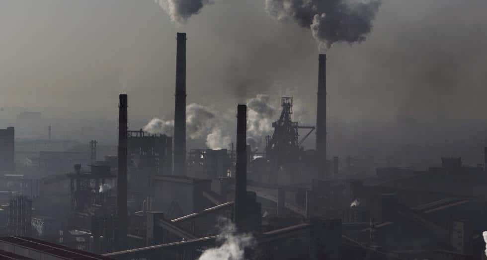C lu guang greenpeace web 1 0 0 0 0 0 0