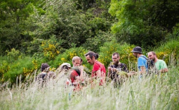 La Ferme du Suchel : cinq amis redonnent vie au Beaujolais Vert