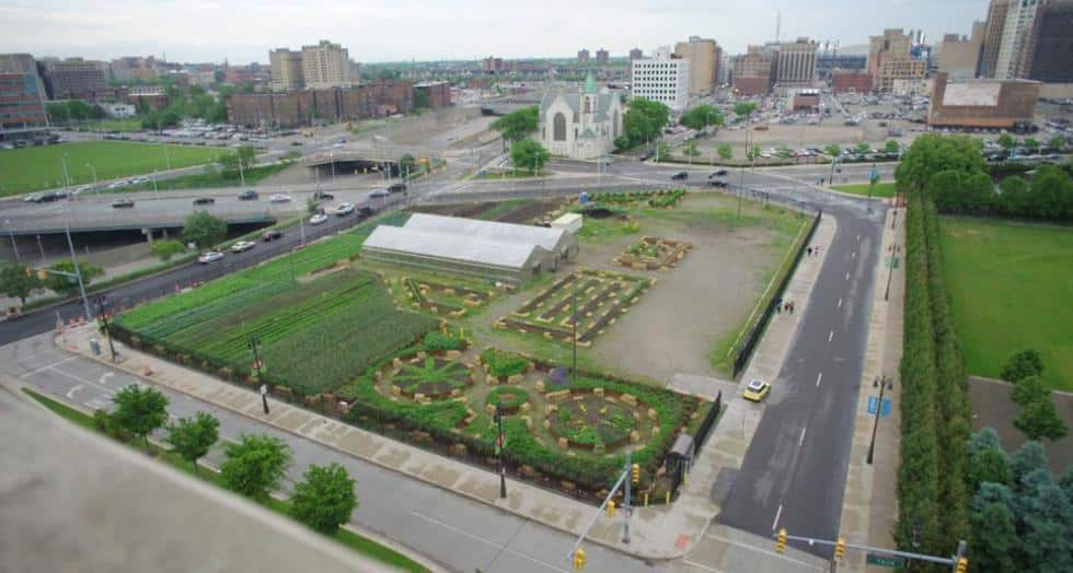 Maraichage urbain detroit demain 1 0 0 0 0 0 0 0 0