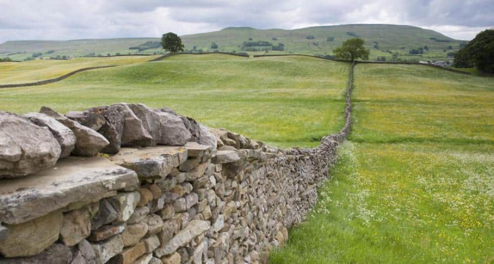 Stone wall 1 0 0 0 0 0