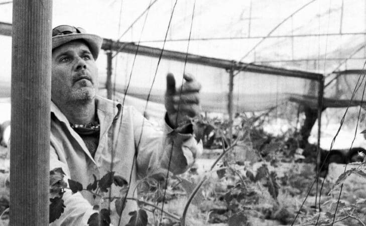 L&rsquo;agroécologie en Palestine : cultiver c&rsquo;est résister