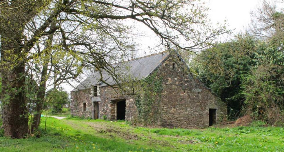 Lebon1 notre ruine web