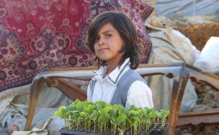L’agroécologie, le pari pour la paix d’un collectif libanais