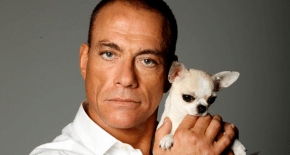 Jcvd