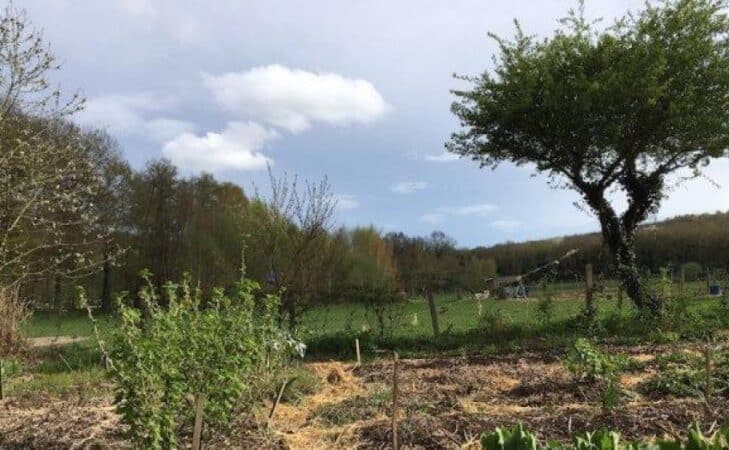 La lisière : un écosystème riche