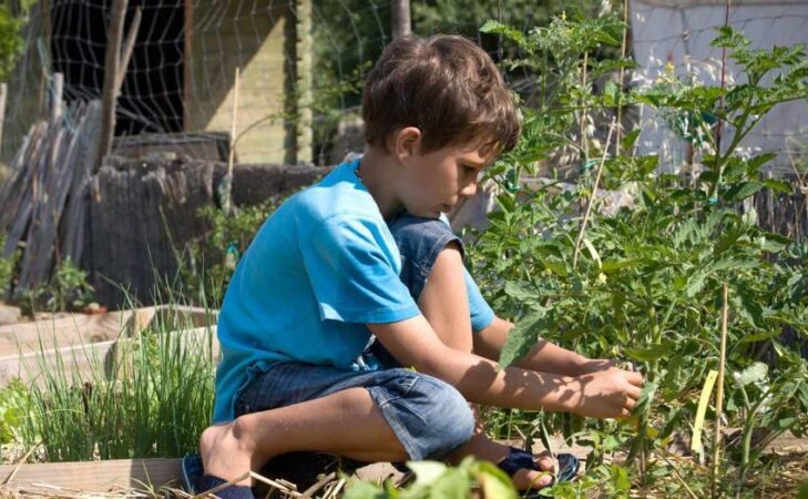 Bientôt, un atelier Agora « Reconnecter l&rsquo;enfant à la Nature »