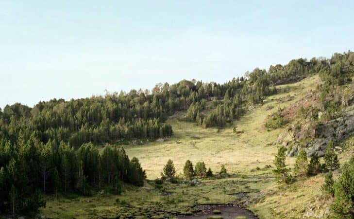 Forêts des hommes, par Sylvain Duffard