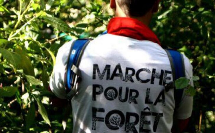Marcher pour sauver la forêt
