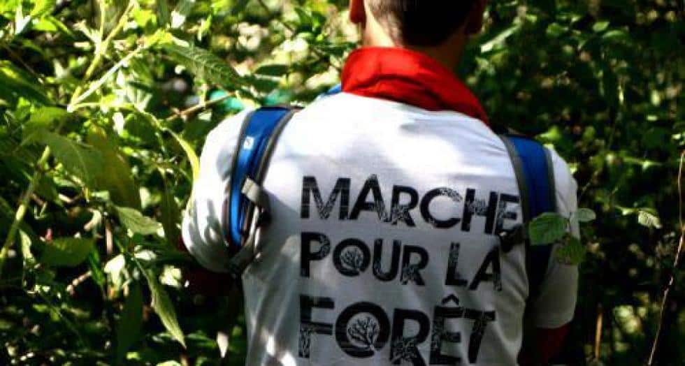 Marche foret 1 1 0