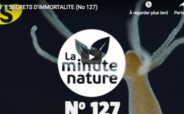 8 secrets d&rsquo;immortalité