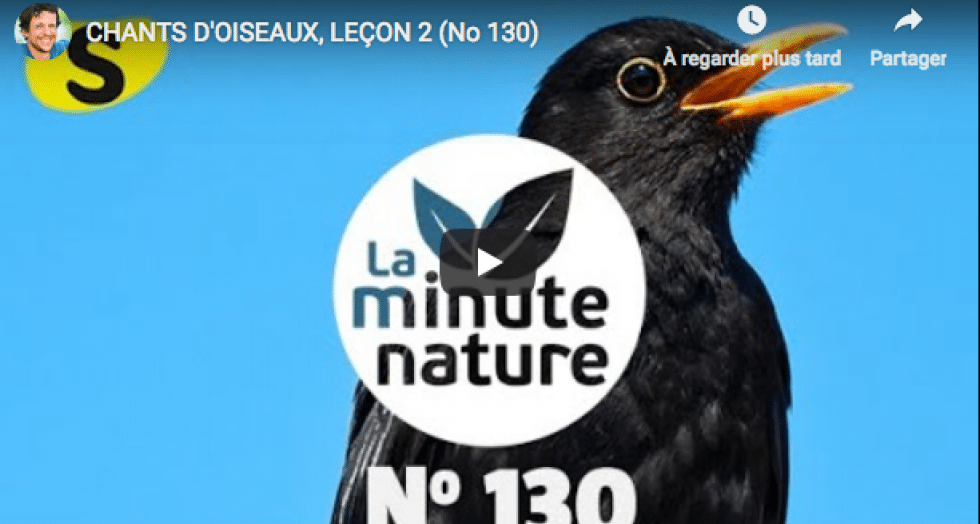 Capture decran 2019 03 08 a 10 17 21 1 0