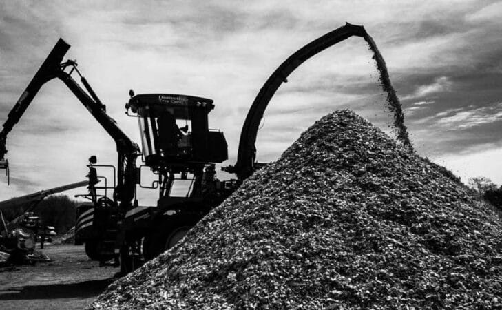 L’opération séduction des industriels de la forêt