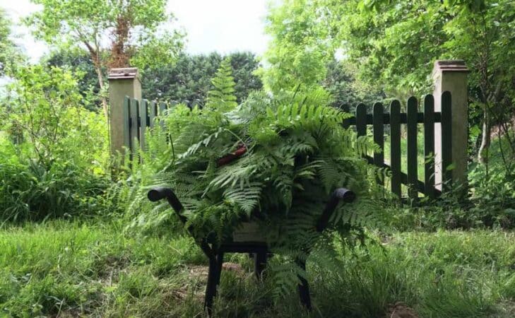 L’aventure du « Jardin sans pétrole », un chemin de vie