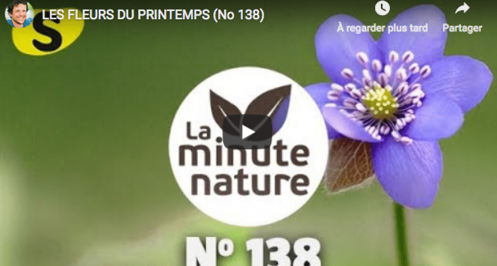 Capture decran 2019 05 02 a 15 45 14 1 0