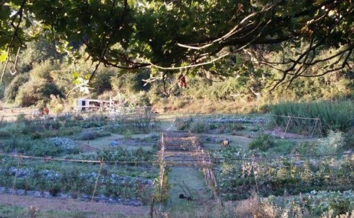 Ahalen lurrak : l&rsquo;agroécologie de A à Z