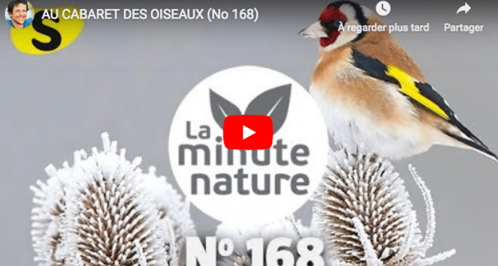 Capture decran 2019 11 29 a 15 58 05 1 0 0