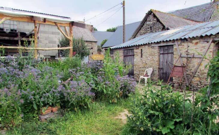 L’arbre de vie : vivre l’écologie en collectif et entre amis