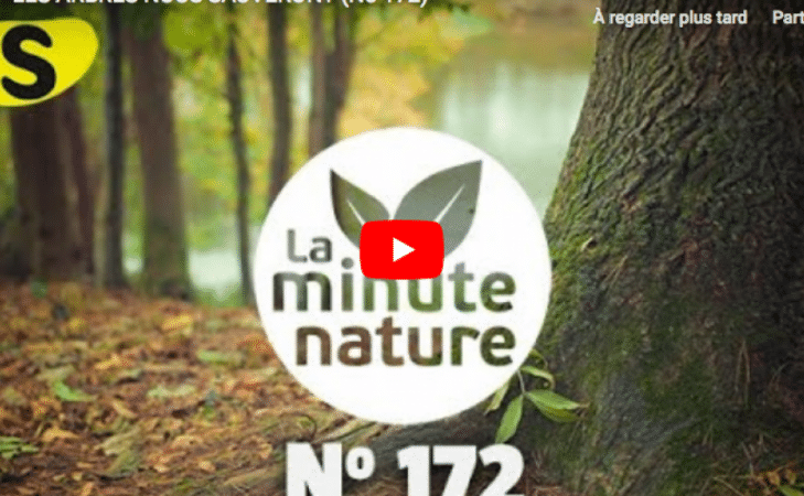 Les arbres nous sauveront