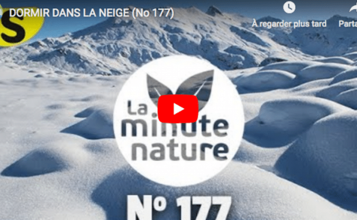 Dormir dans la neige