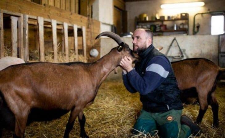 La ferme qui guérit des addictions