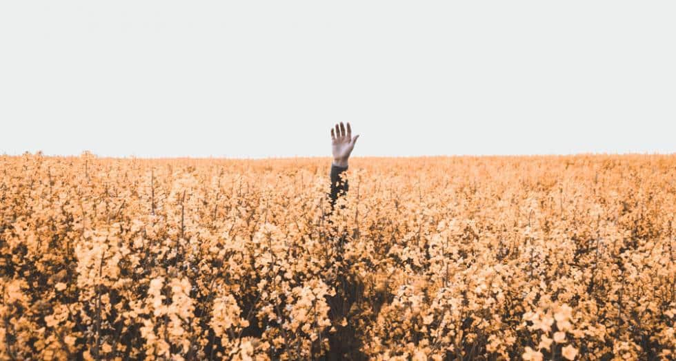 Daniel jensen udlehdohbz8 unsplash 2 1 0 0 0 0
