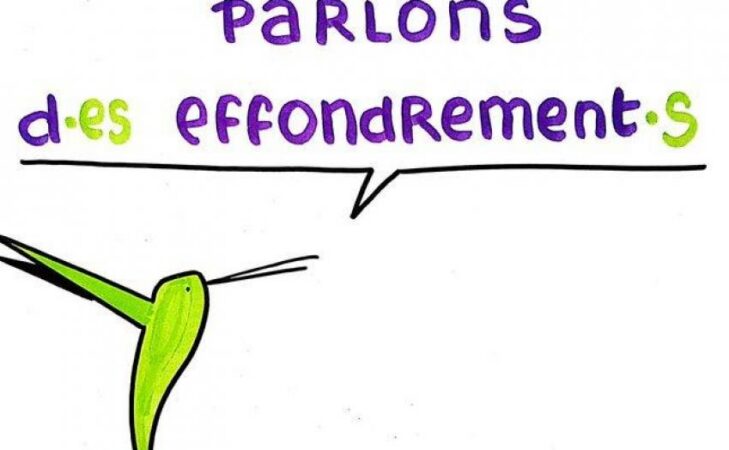 L’effondrement vu par les groupes locaux colibris