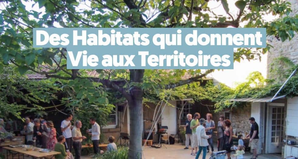 Vignette video oasis 1 0 0 0 0 0 0