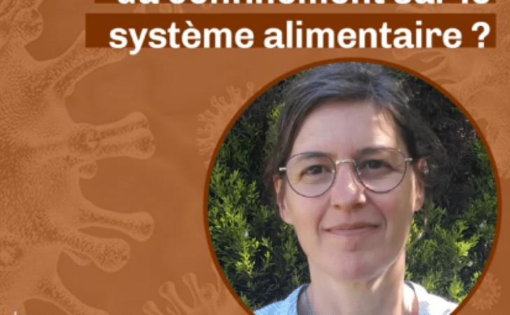 L’impact du confinement sur le système alimentaire ?
