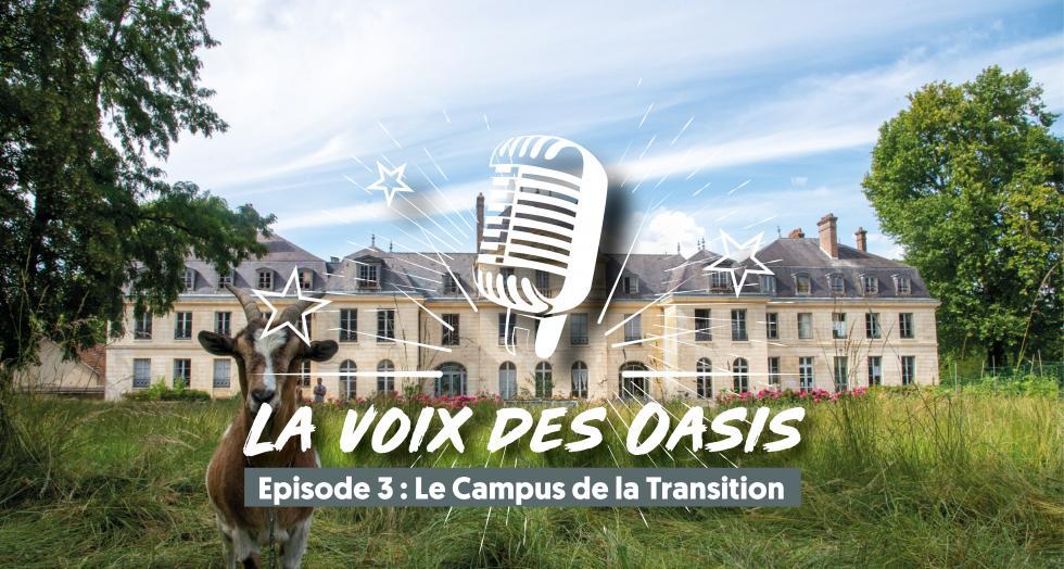 La voix des oasis 3 4 1