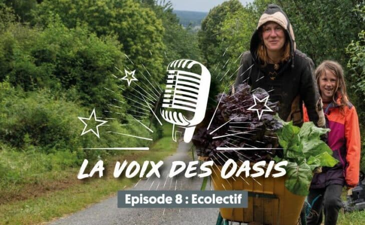 Cultiver une écologie relationnelle