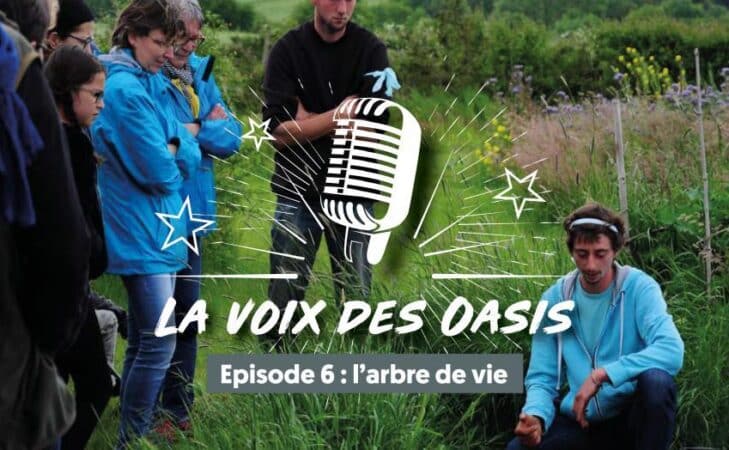 Contribuer positivement aux équilibres écologiques et sociaux