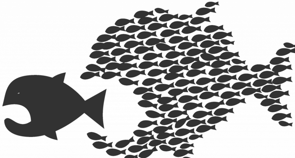 Poissons 1 0 0 0 0