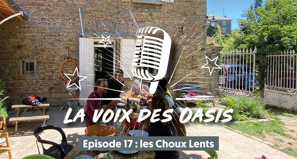 17 les choux lents 1 0 0