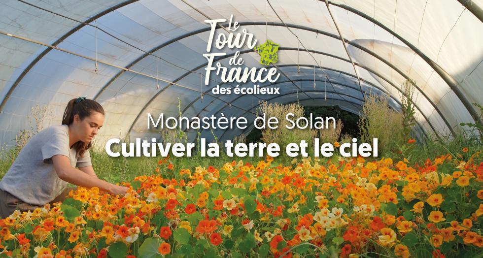Solan2 1 0 0 0 0 0 0 0 0 0 0 0 0 0 0 0 0 0 0 0 0