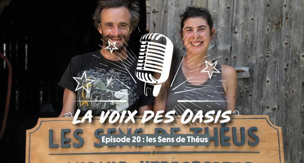 20 les sens de theus2 1 0 0 0 0 0 0 0 0 0 0 0 0 0 0 0 0 0 0 0 0