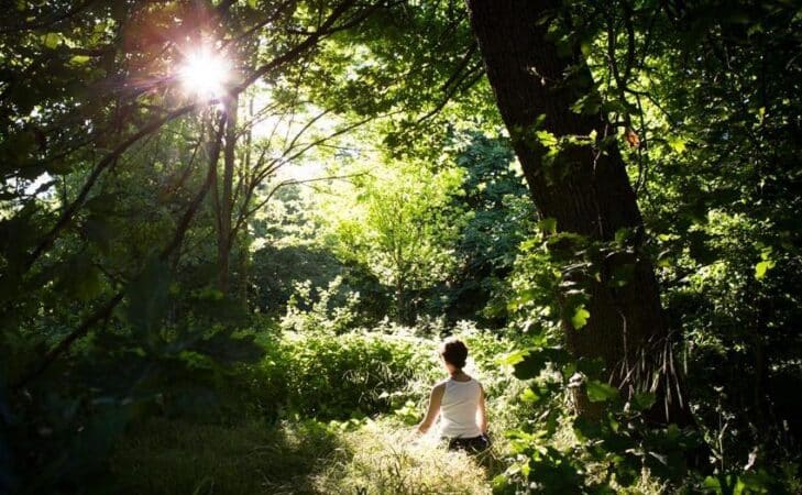 Pour renouer avec la Terre, l&rsquo;écologie intérieure