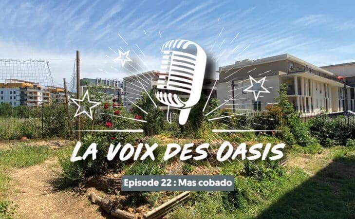 Mascobado, une Oasis au centre de Montpellier