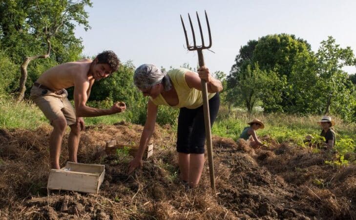 Mieux accompagner et valoriser la nouvelle génération d’agri-ruraux