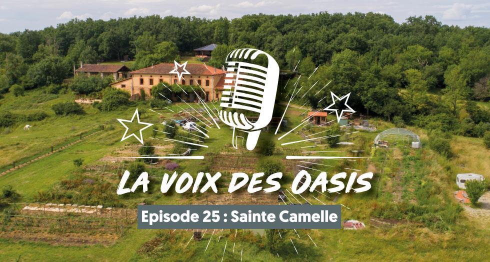 St camelle 1 0 0 0 0 0 0